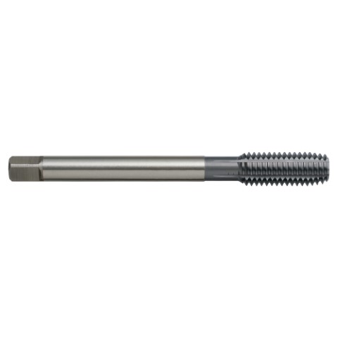 SUTTON - TAP RLC M12X1.75 6HDIN376 TIC 